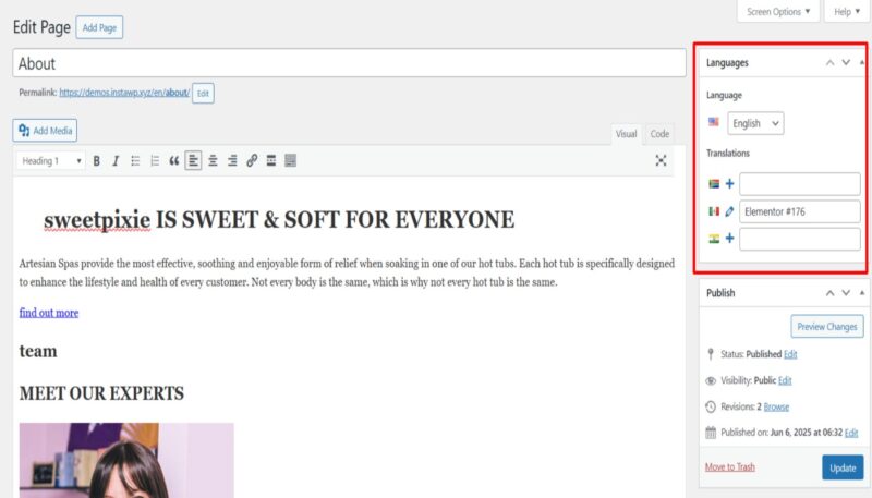choose translation language